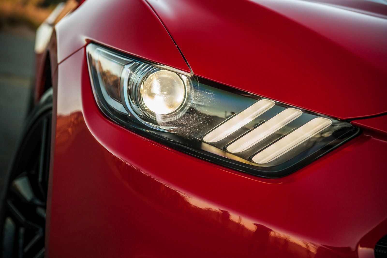 Zobacz Forda Mustanga 2015 na 100 nowych zdjęciach! 63