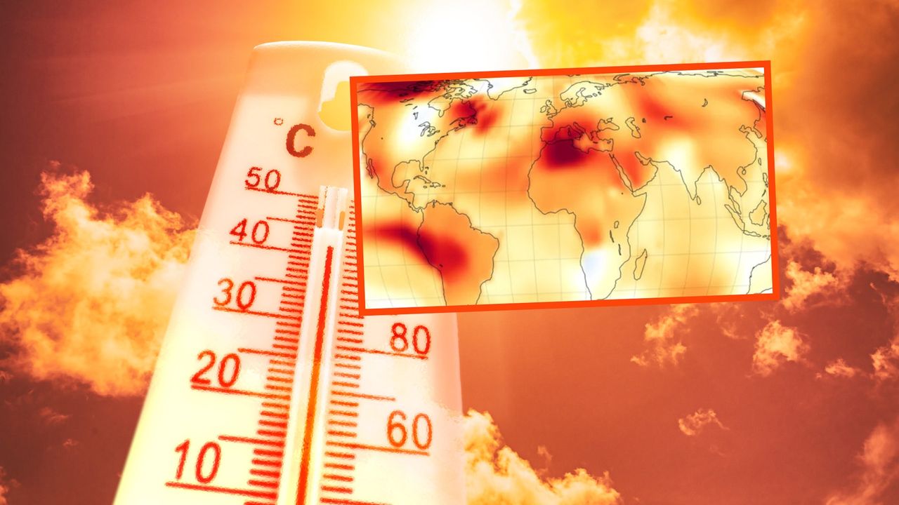 Najgorętsze lato w historii. Życie na Ziemi zmieni się na zawsze