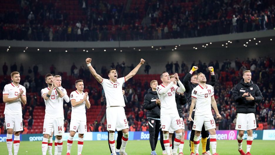 Mecz Polska-Albania. Janusz Korwin-Mikke zabrał głos 