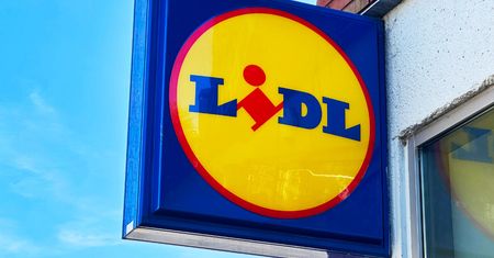 Tylko do dziś w Lidlu. Szynka za 7,99 zł i truskawki 50 proc. taniej