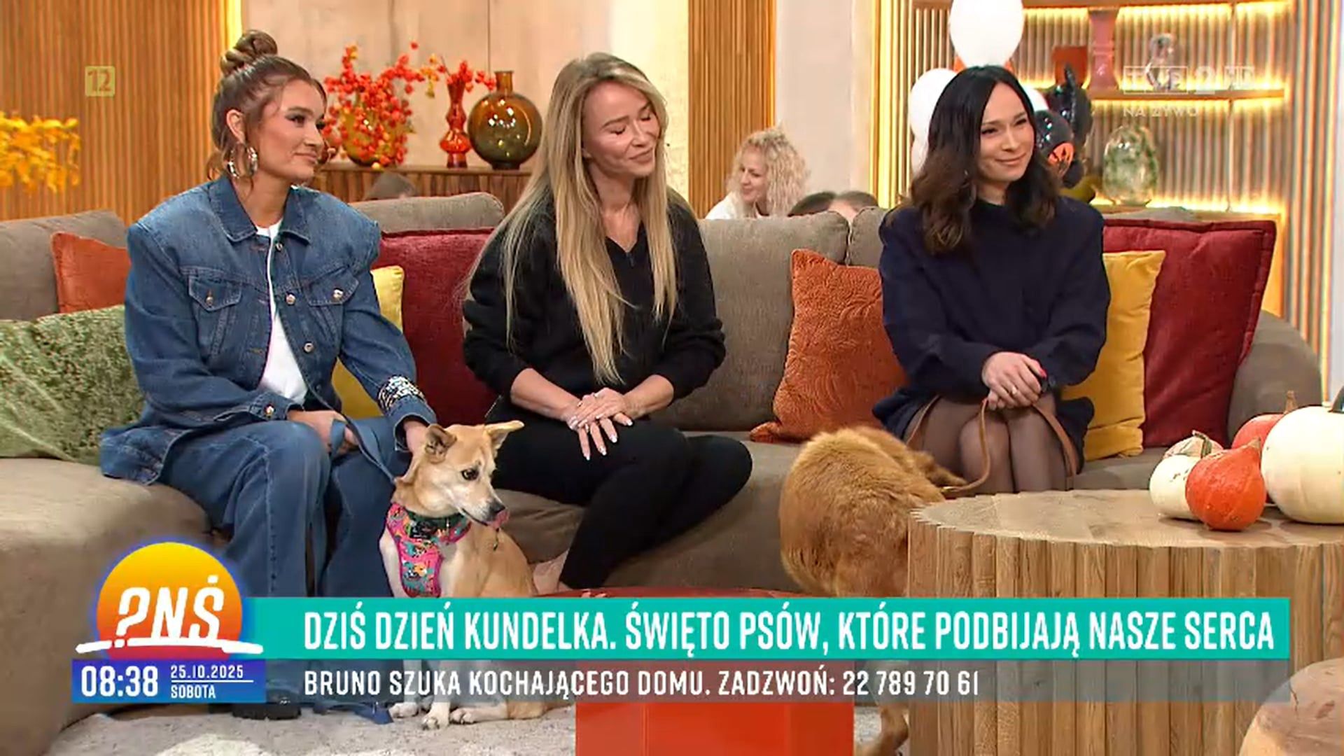 Dzień Kundelka