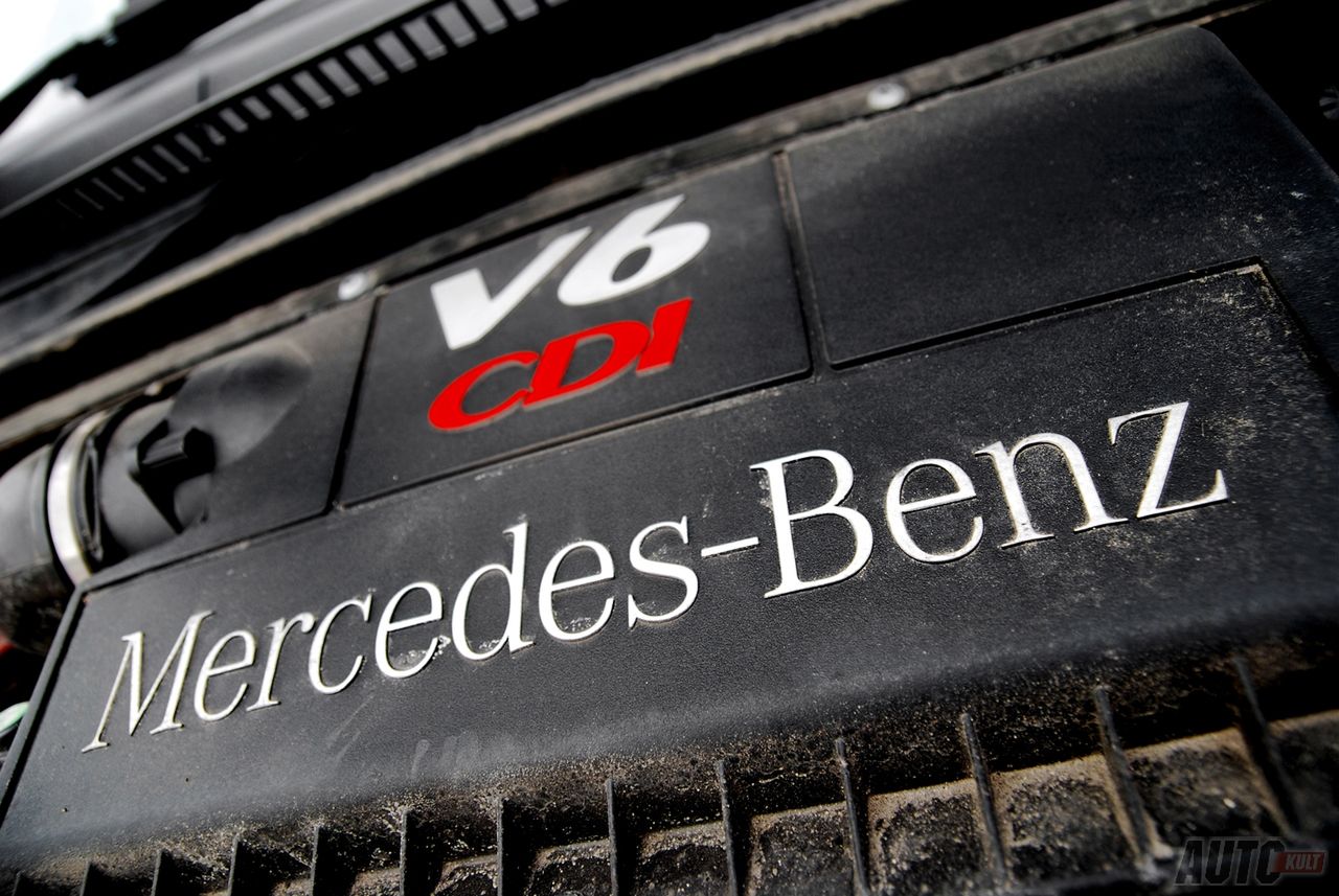 Mercedes Viano
