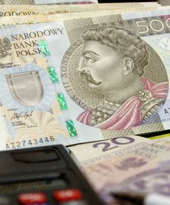 Dodatek dla sołtysów na emeryturze. Już można składać wnioski o 300 plus