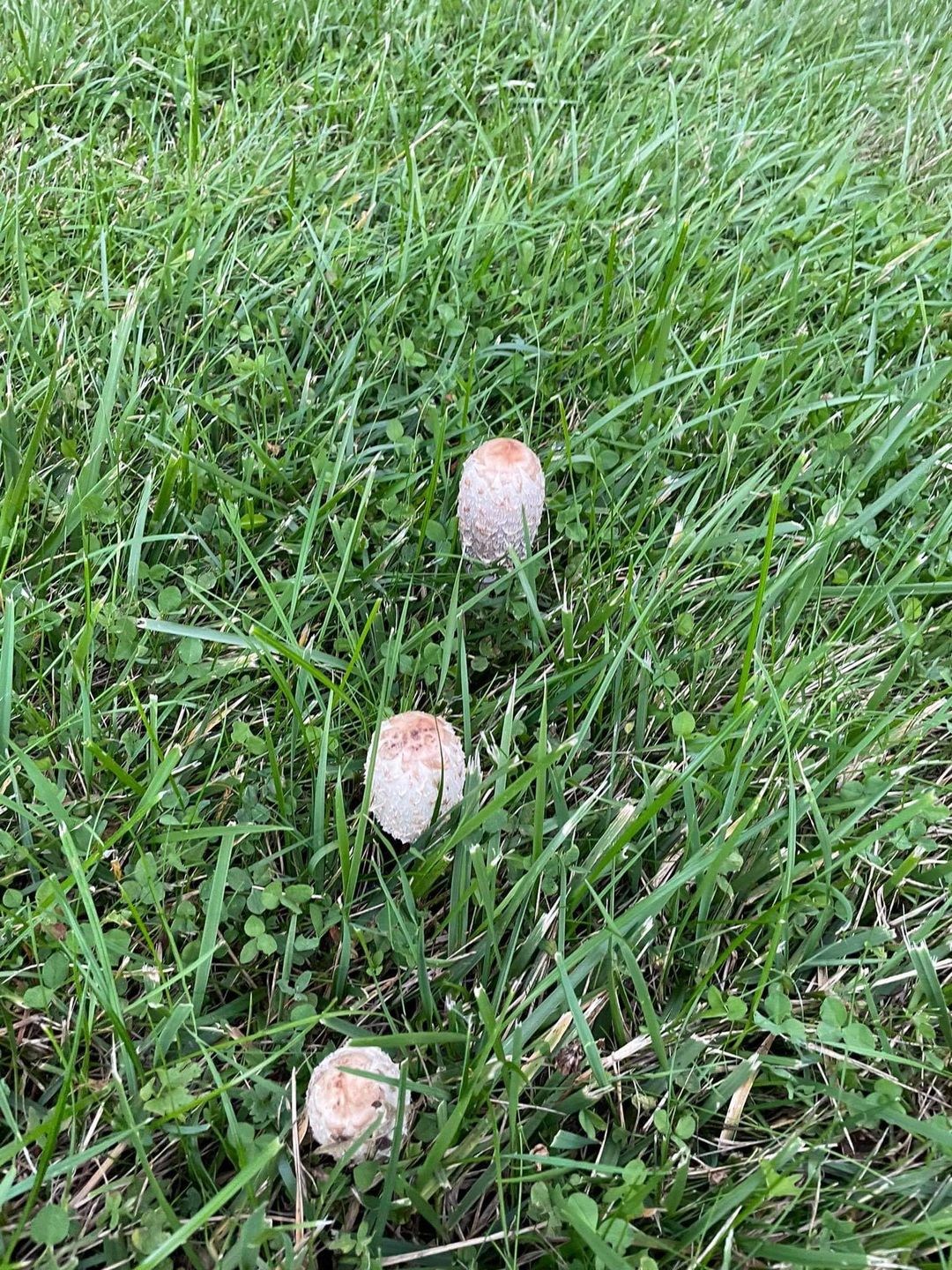 Czasami trzeba naprawdę mocno wytężyć wzrok 