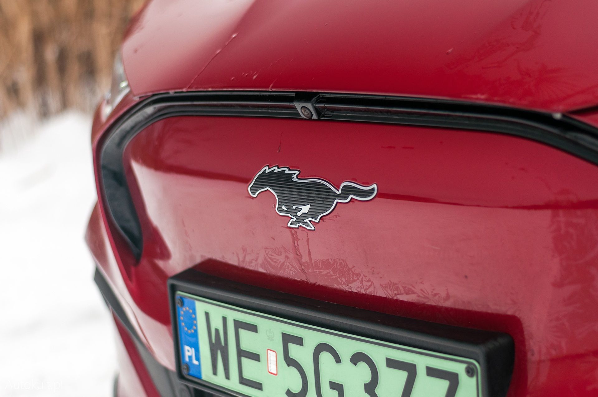 Ford Mustang Mach-E zimą