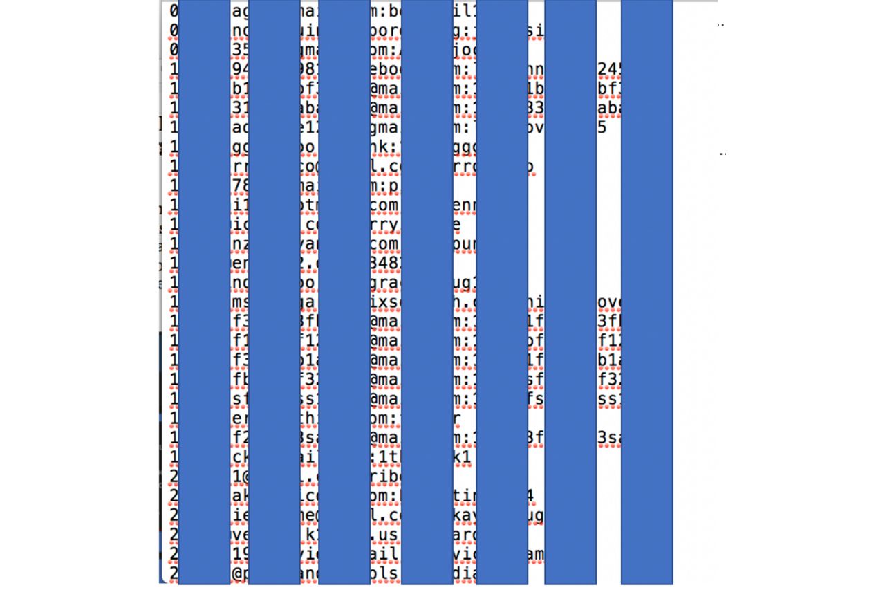 zrzut ekranu wykradzionych rekordów, fot. Cyble