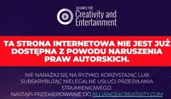 Canal+ chwali się zamknięciem popularnego pirackiego serwisu
