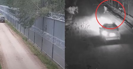 Zrzucili drzewo na płot i rzucali kamieniami w strażników. Nagranie z granicy