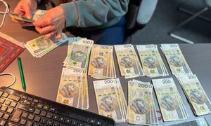 Rekordowe "łowy" PIP. Inspektorzy odzyskali 138 mln zł dla pracowników