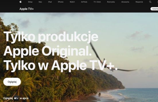 Możliwa współpraca dwóch dużych serwisów streamingowych
