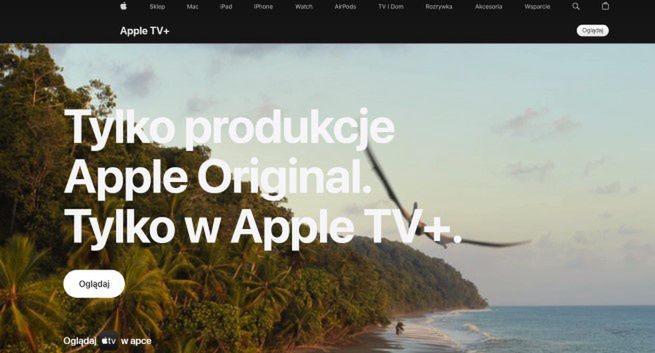 Możliwa współpraca dwóch dużych serwisów streamingowych