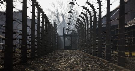 Niemcy. Ludzkie szczątki na terenie berlińskiej uczelni. Mogą to być ofiary doktora z Auschwitz
