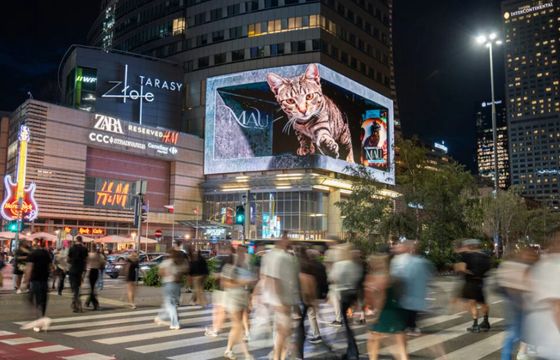 Screen Network z kolejnym zleceniem od Warszawy