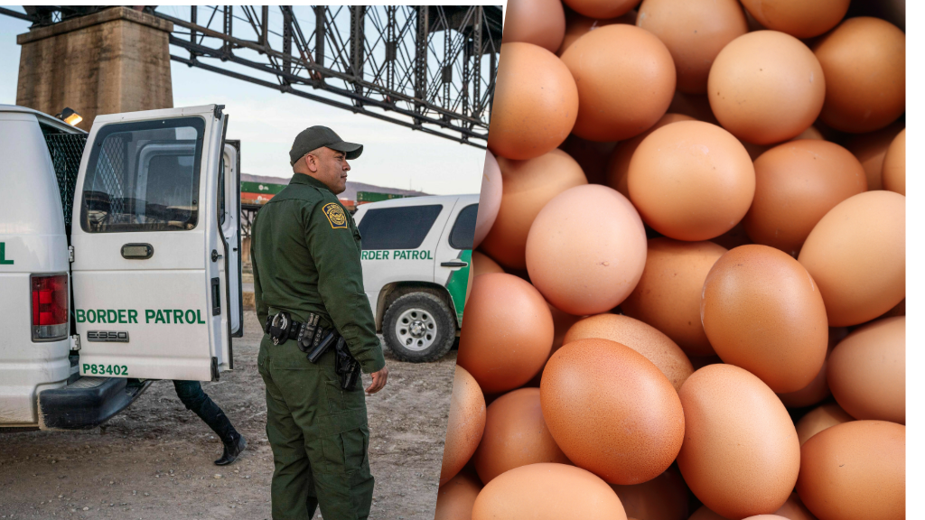 Amerykański celnik na granicy USA-Meksyk. Rośnie problem przemyt