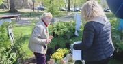 Kartuzy: Wymień makulaturę na sadzonki. Zapraszamy do Parku Solidarności