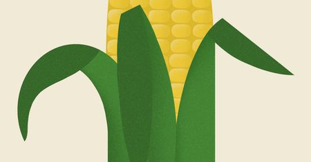 ”W królestwie Monszatana. GMO, gluten i szczepionki”, Marcin Rotkiewicz – recenzja