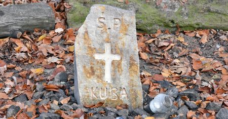 Legnica. Spadający konar zabił 13-latka. Nauczyciel oskarżony