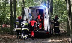 Nauczyciel WF-u z zarzutami. Jego ucznia podczas lekcji w lesie przygniótł konar