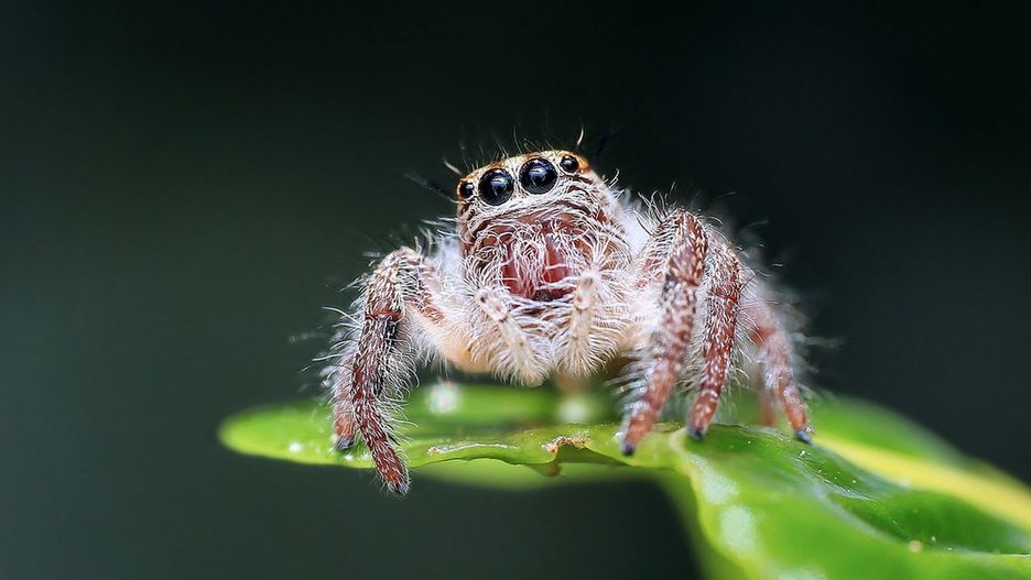 Intruzi zadomowili się w przyczepie mężczyzny
