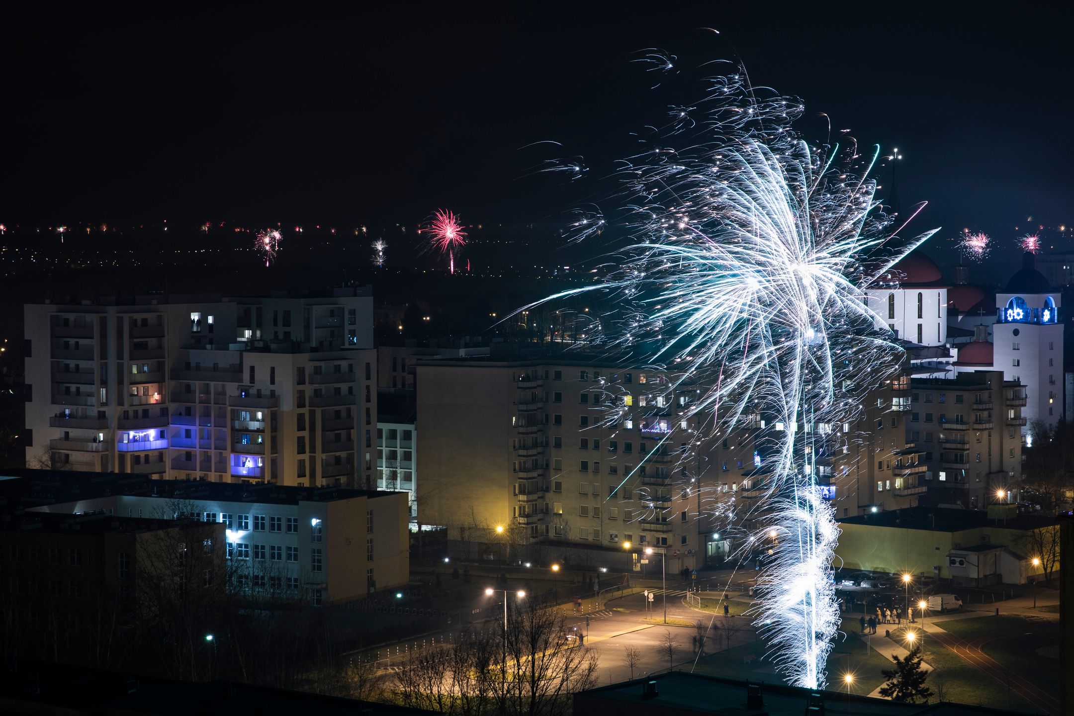 Sylwester to ciężki czas dla czworonogów 