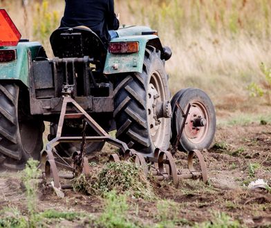 Amerykańskie wojsko znów miało kłopot na drodze. Pomógł polski rolnik