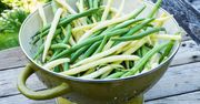 Fasolka szparagowa - przepisy i porady