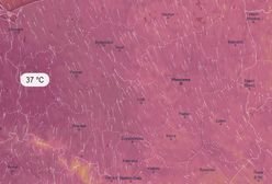 Prognoza pogody na dziś - 8 sierpnia. IMGW ostrzega