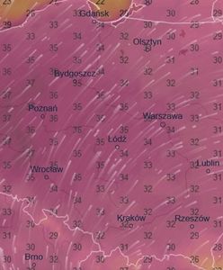 Pogoda. Prawie 40 stopni w trzech miejscach w Polsce. Co przyniesie poniedziałek?