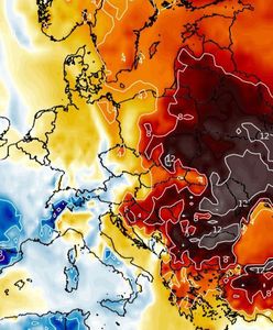 Pogoda. Od razu wiosna? Nowa prognoza i 15 stopni na termometrach