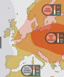 Pogoda na wakacje 2018. Francuska służba przewiduje anomalie w Polsce