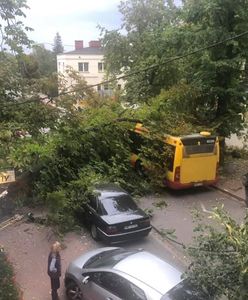 Pogoda. Połamane drzewa i zniszczone samochody. Nawałnica przeszła przez Mazowsze