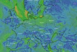 Pogoda. Burze, grad i silny wiatr. Ostrzeżenia IMGW