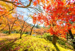 Pogoda na dziś - 15 października. Słonecznie i ciepło