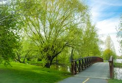Prognoza Pogody. W Wielki Piątek nawet 20 st. C na południu kraju. Chłodno będzie tylko na wybrzeżu