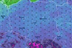 Alert pogodowy. Zmrozi całą Polskę - minus 14 st. C