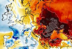 Pogoda. Od razu wiosna? Nowa prognoza i 15 stopni na termometrach