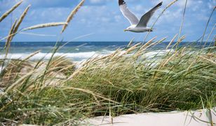 Pogoda nad morzem – 10-11.09