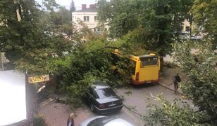 Pogoda. Połamane drzewa i zniszczone samochody. Nawałnica przeszła przez Mazowsze