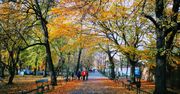 Pogoda na dziś. Słonecznie, ale chłodno. Jaka prognoza na weekend? Sprawdź