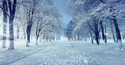 Pogoda w Polsce. Chińscy meteorolodzy przewidują mroźną i śnieżną zimę