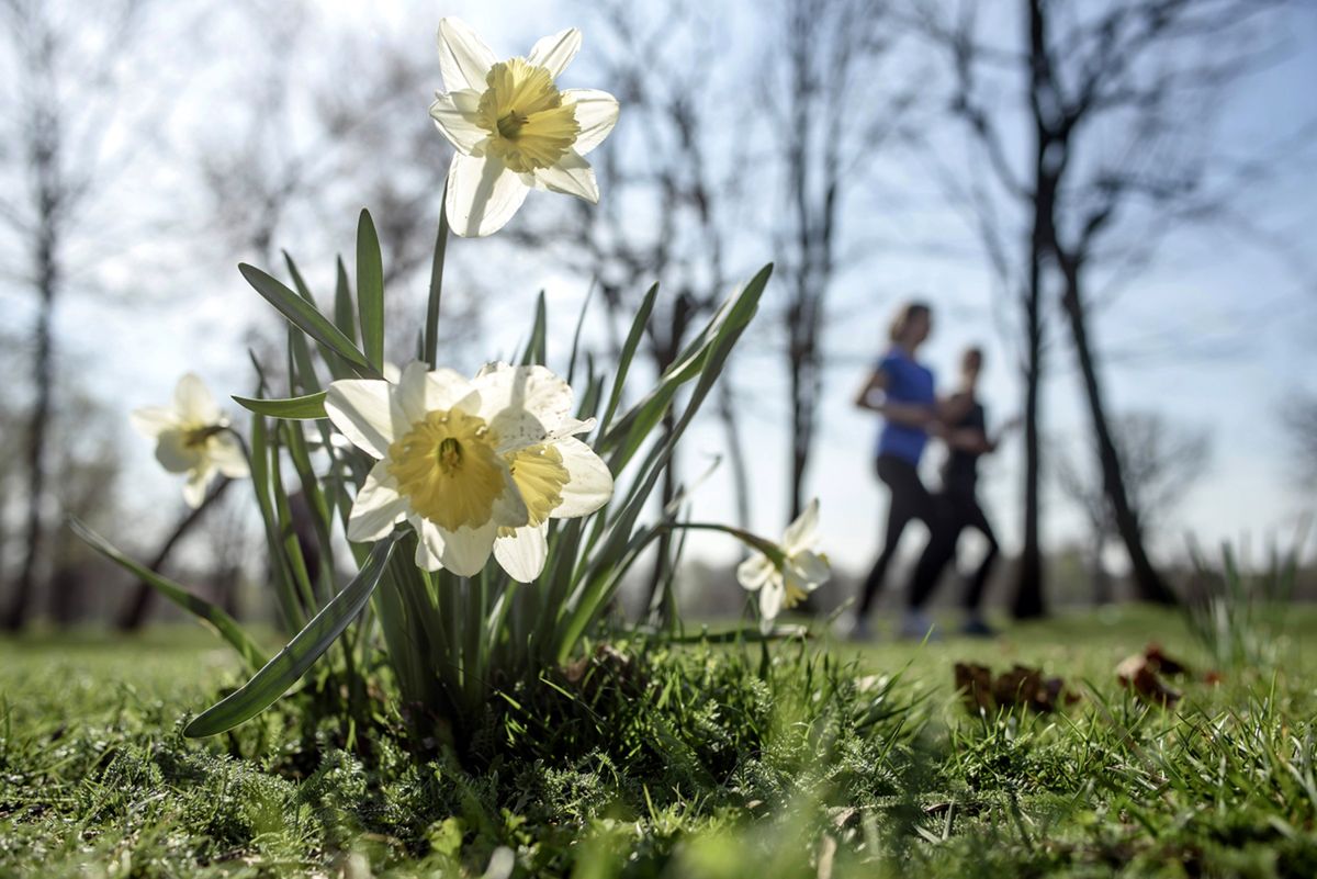 Bardzo ciepły weekend! Wiemy, gdzie będzie nawet +16 st. C