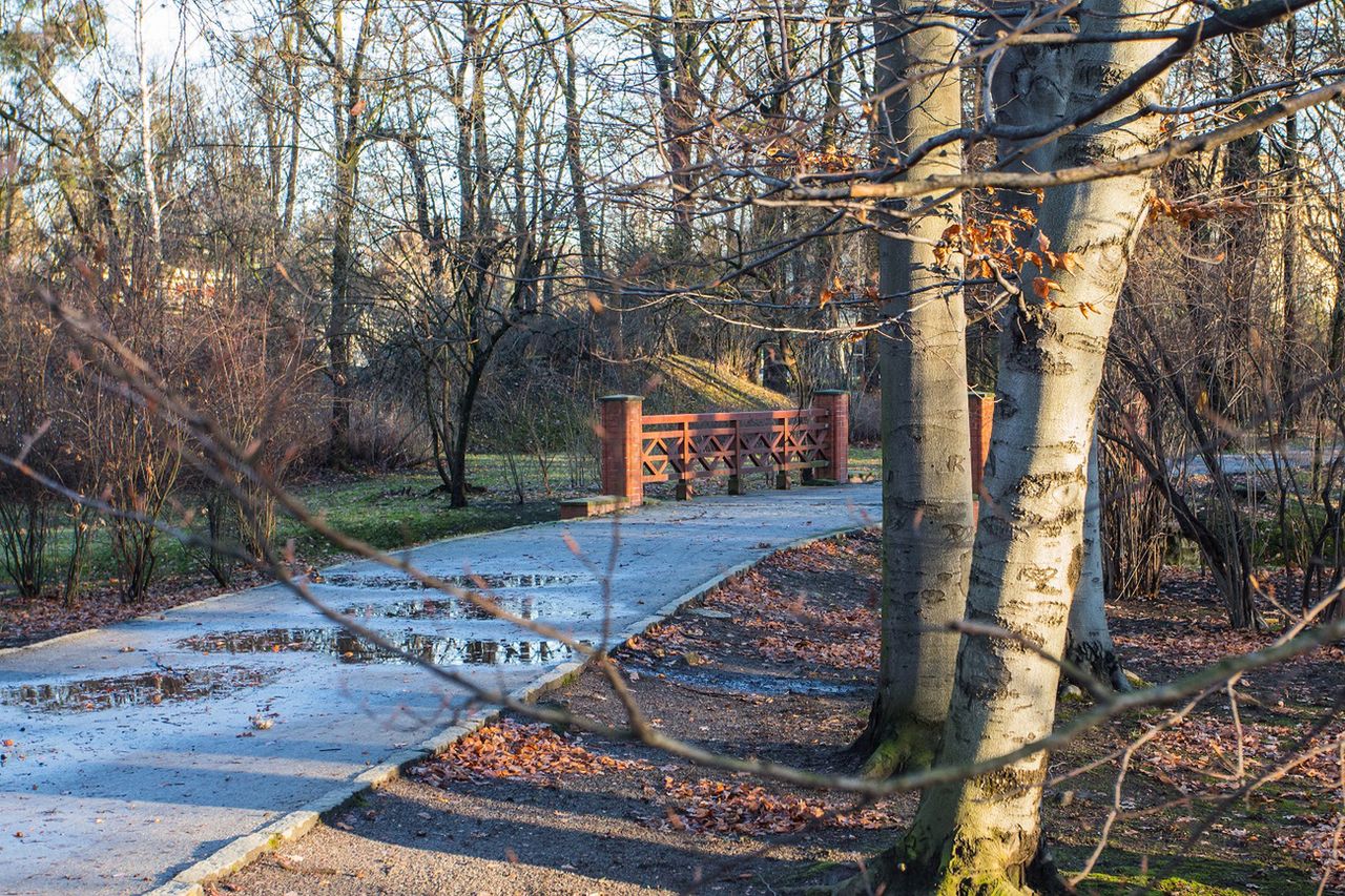 Pogoda na piątek. Zachmurzenie i porywisty wiatr. Możliwe opady. Co nas czeka 22 listopada