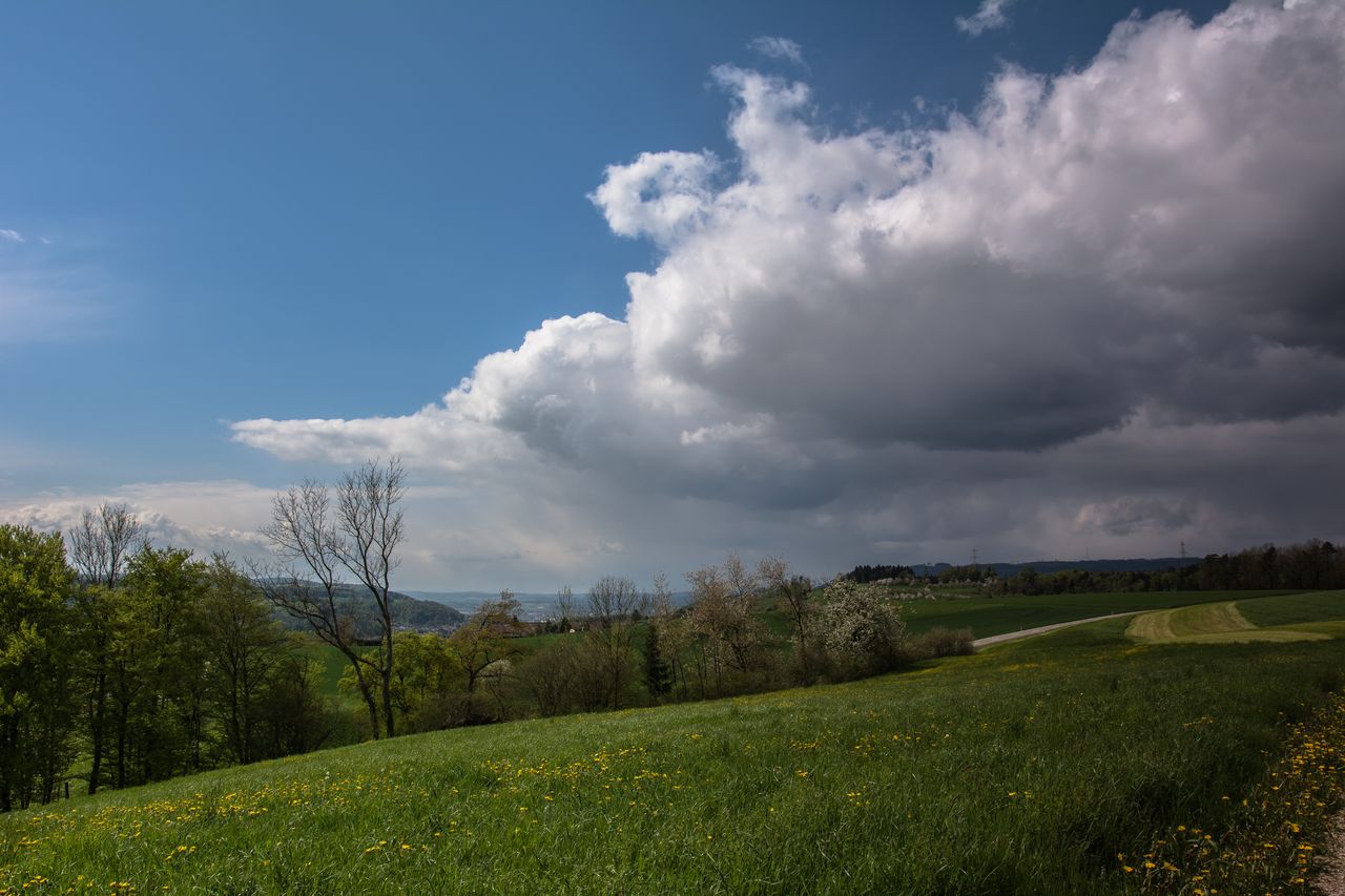 Prognoza pogody na 17, 18 i 19 lutego