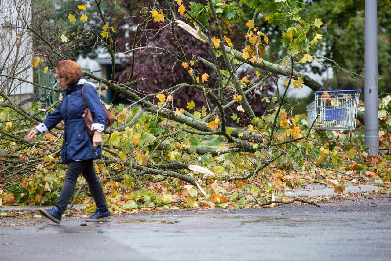 Wichura w łódzkim. Bez prądu pozostaje 53 tys. mieszkańców