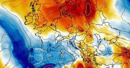 Zimni ogrodnicy i zimna Zośka. Potem diametralna zmiana w pogodzie