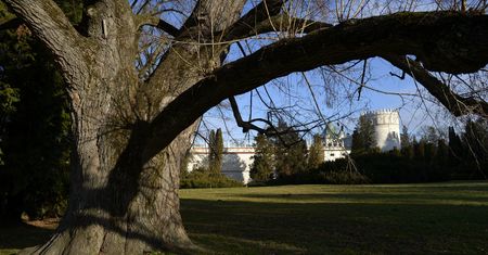 Prognoza pogody na dziś - 26 lutego. Pogodnie i słonecznie, do 11 stopni