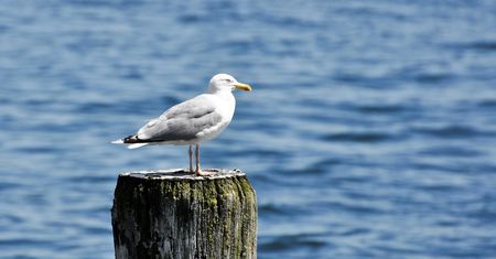 Pogoda na dziś – poniedziałek 13 maja. Prognoza pogody dla największych miast w Polsce