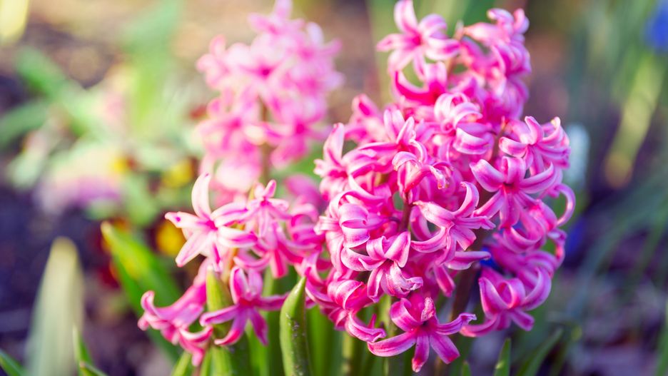 Prognoza pogody na dziś - czwartek 28 marca.