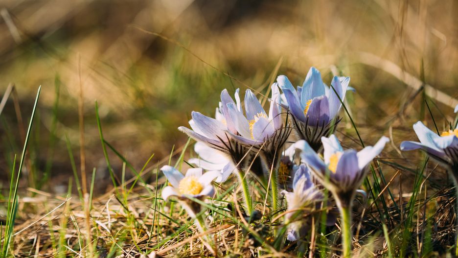 Prognoza pogody na dziś - niedziela 24 marca.