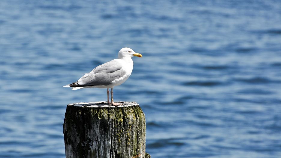 Pogoda przyniesie dziś bardzo niskie temperatury.